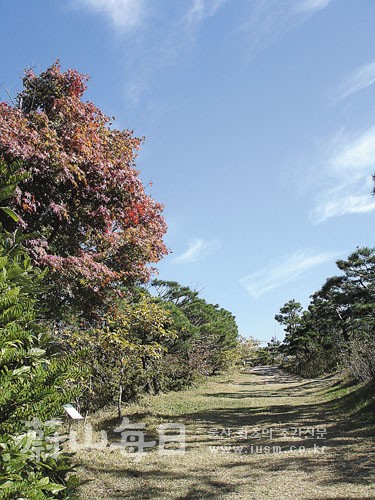 223905_65680_4724.jpg